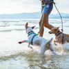 plaže za pse u Hrvatskoj