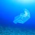 Na dnu Tihog oceana pronađen plastični otpad
