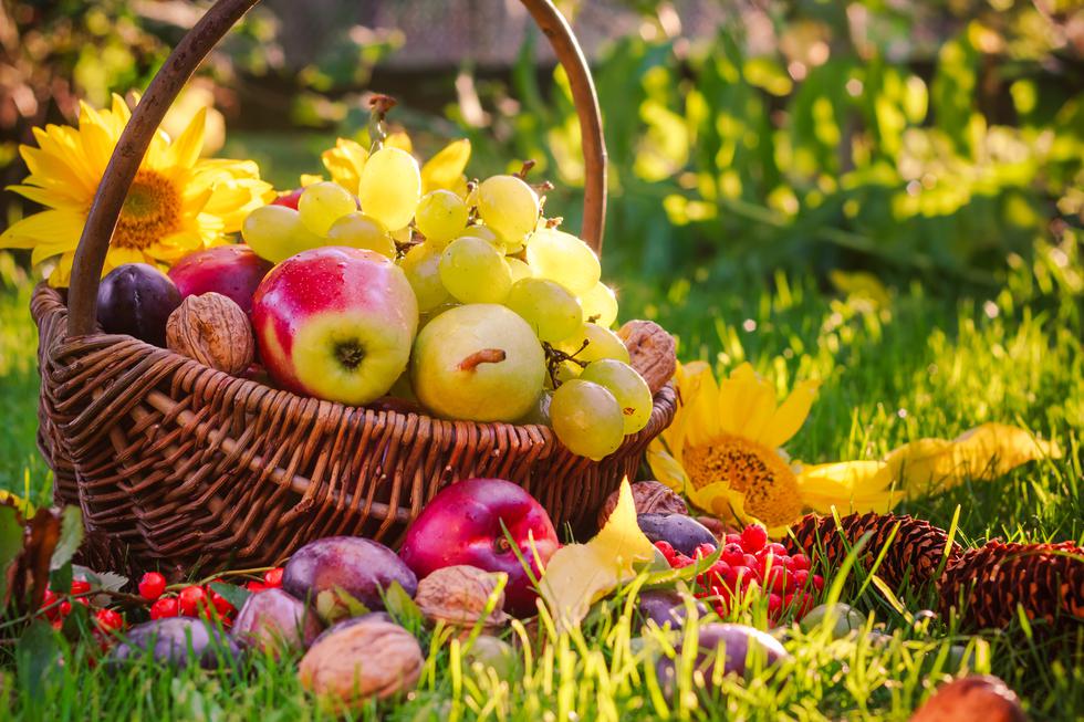 Najzdravije je sezonsko: Voće i povrće koje dozrijeva u rujnu