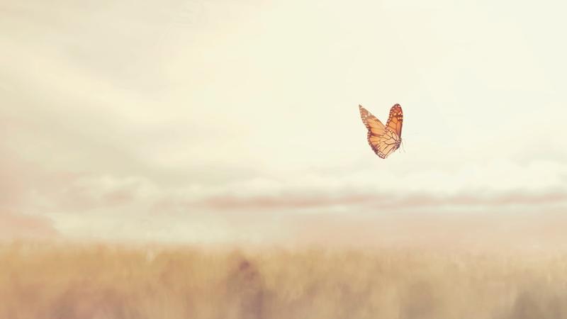 Poruka podr&scaron;ke za subotu