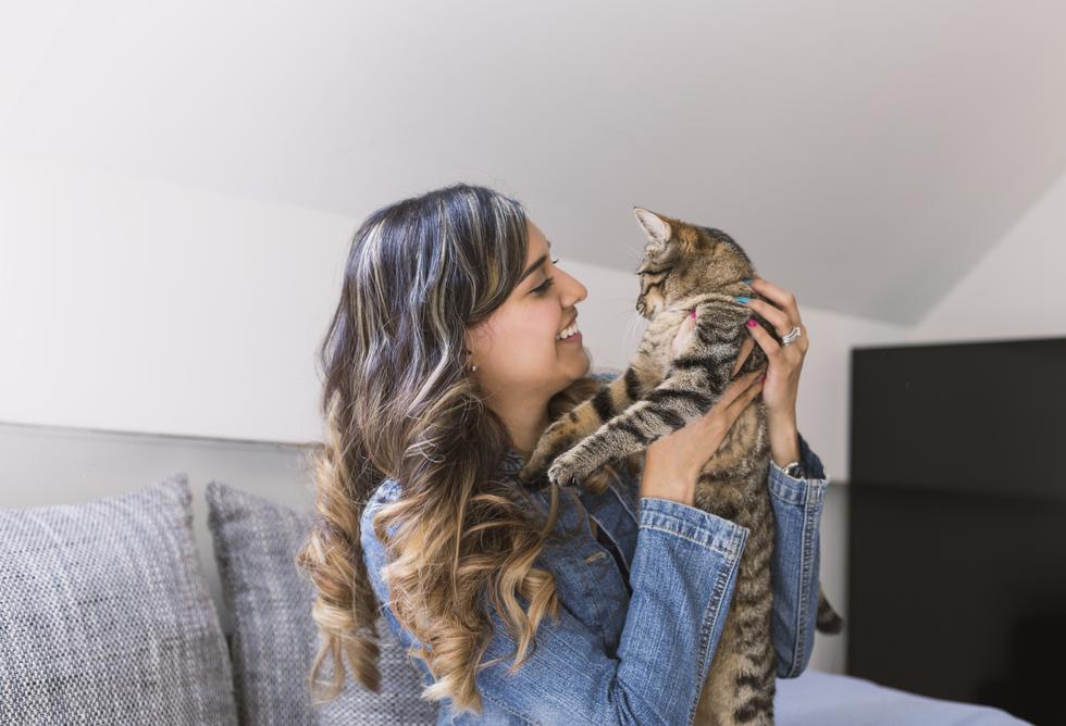 Veterinarska klinika traži osobu koja bi po cijele dane mazila mačke