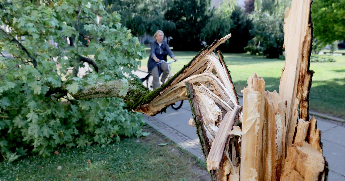 Grad Zagreb upozorava građane da izbjegavaju posjete parkovima