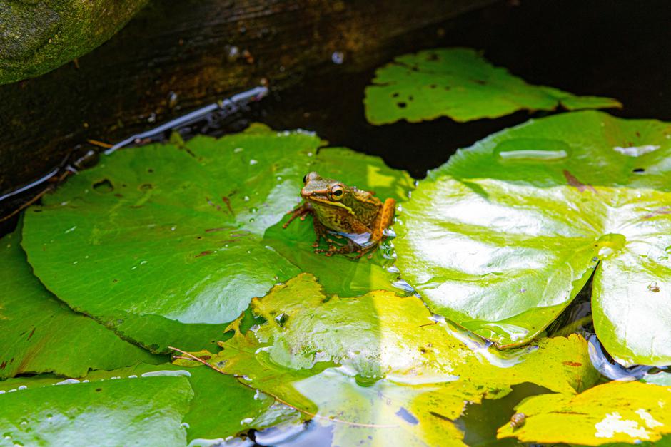  | Author: Unsplash