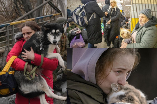 Pomoć ukrajinskim izbjeglicama i njihovim kućnim ljubimcima