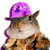 Avatar kreativnavjeverica