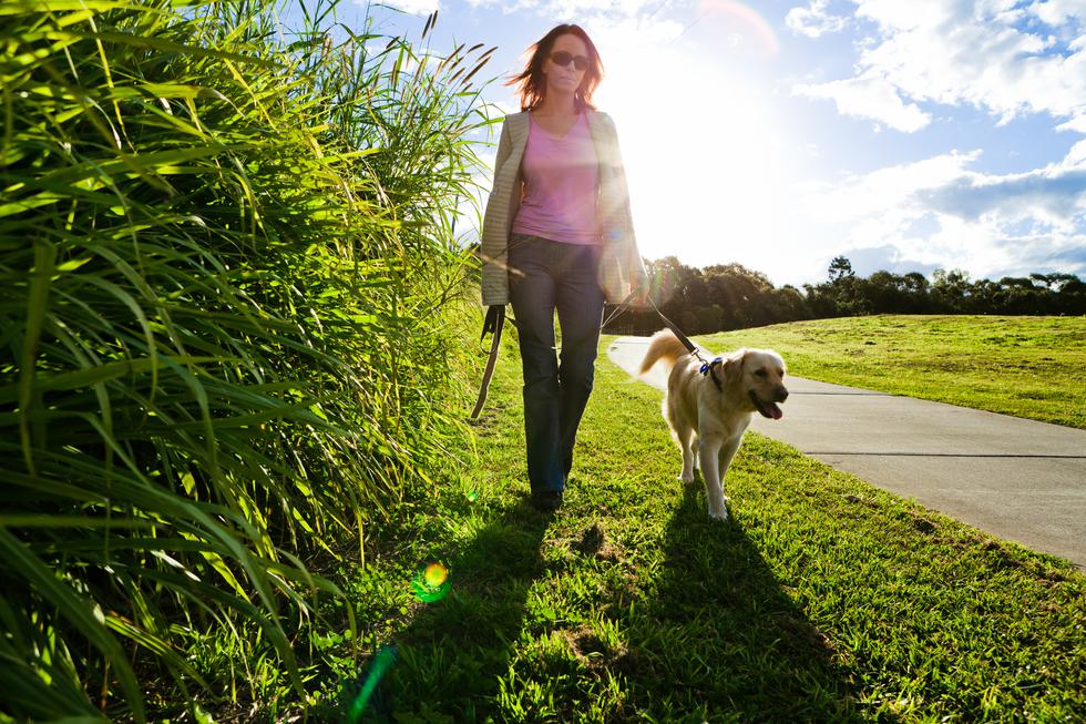 Pola sata hodanja tjera stres i smanjuje rizik od sljedećih bolesti
