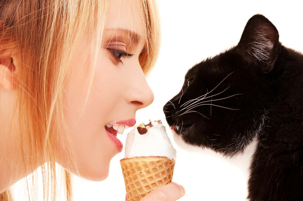Zašto čovjek voli slatko, a mačke ne i kako čovjek uči voljeti okus hrane?