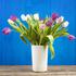 Latice tulipana pomažu kod glavobolje i kašlja