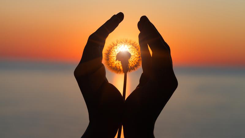 Poruka podr&scaron;ke za nedjelju