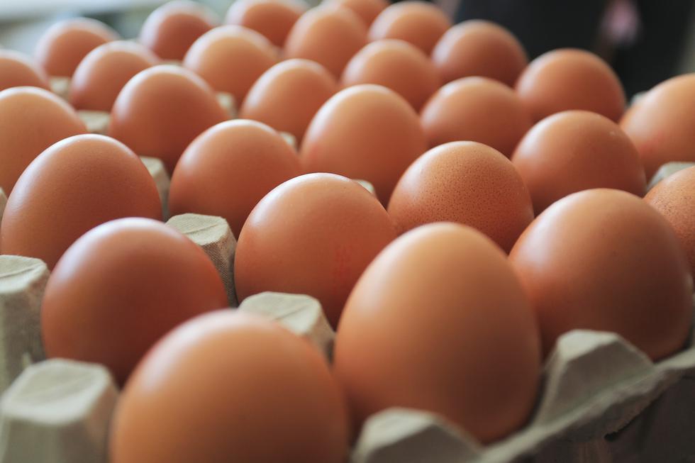 Na policama šest trgovina pronađena su jaja s antibioticima