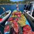 Iz podmorja na jugu Dalmacije izvadili 20 tisuća plastičnih boca