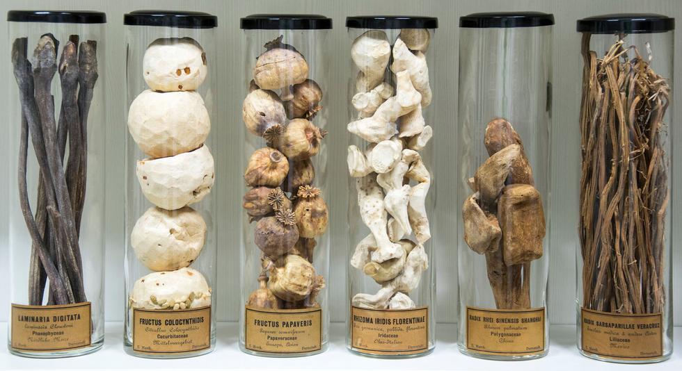 Od španjolskih mušica do opija: Otvorena zbirka s više od 1200 "ljekovitih droga"