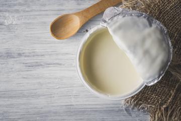 Jogurt