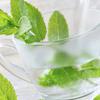 Menta