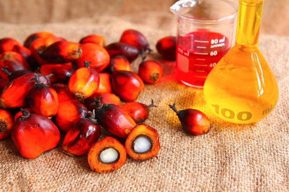 Stručnjak za sigurnost hrane otkrio istinu o štetnosti palminog ulja