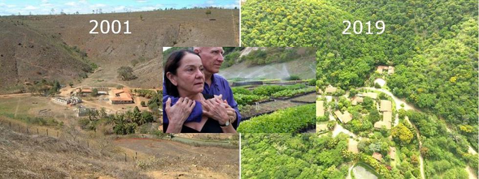Bračni par u 20 godina zasadio milijun stabala i obnovio uništeno područje