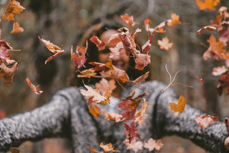  | Author: Unsplash