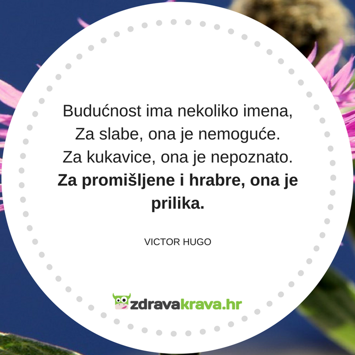 Motivacijske poruke