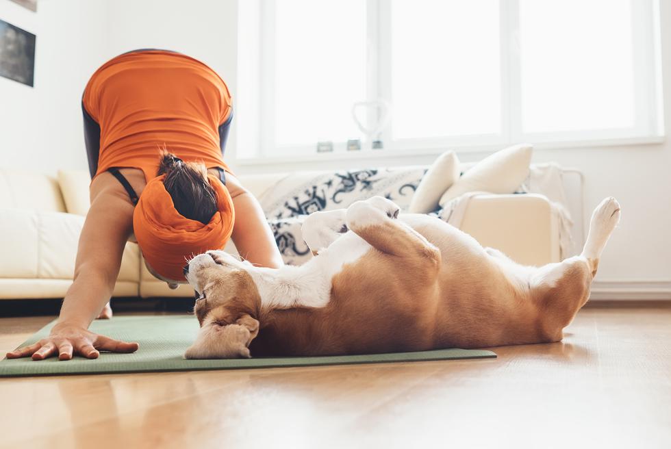 I slavni prate novi trend u svijetu - jogu sa psima