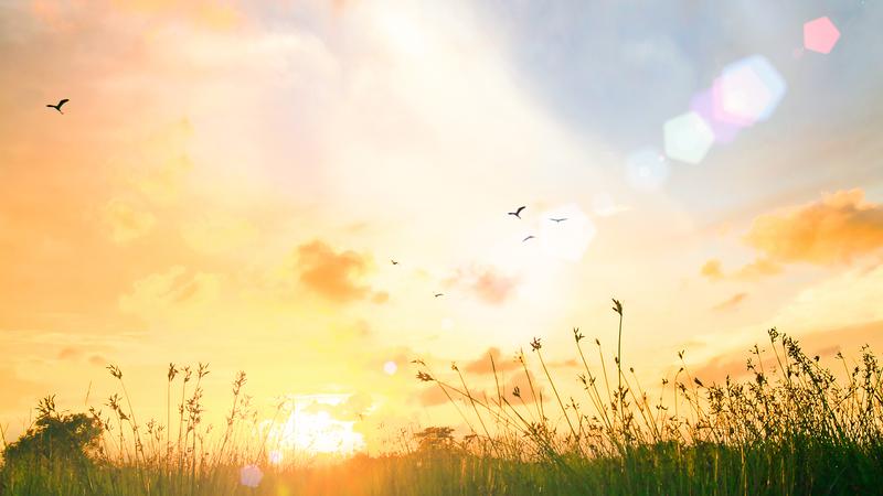 Poruka podrške za nedjelju