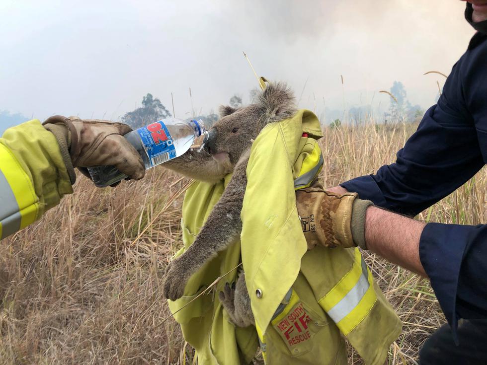 Nicol Kidman i drugi donirali novac za Australiju: Požari i dalje gutaju sve pred sobom