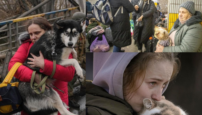Pomoć ukrajinskim izbjeglicama i njihovim kućnim ljubimcima