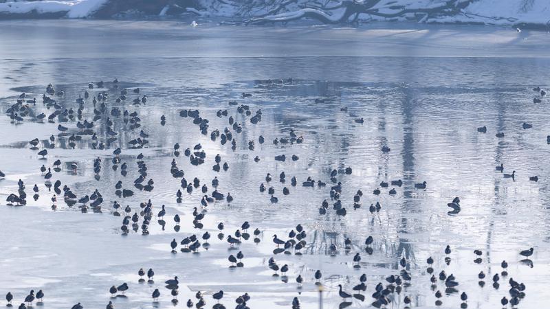 U Hrvatskoj mo&ccaron;varna stani&scaron;ta jo&scaron; uvijek relativno dobro o&ccaron;uvana