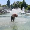 Fountains in Battersea Park
