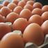 Na policama šest trgovina pronađena su jaja s antibioticima