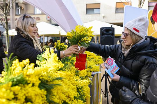 Zagreb: 19. Dan mimoza obilježen na Cvjetnom trgu