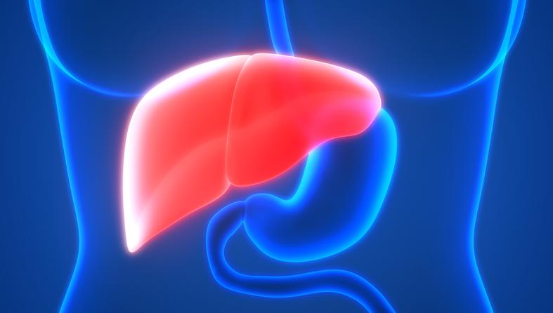 Masna jetra: Simptomi i prirodni način liječenja | missZDRAVA