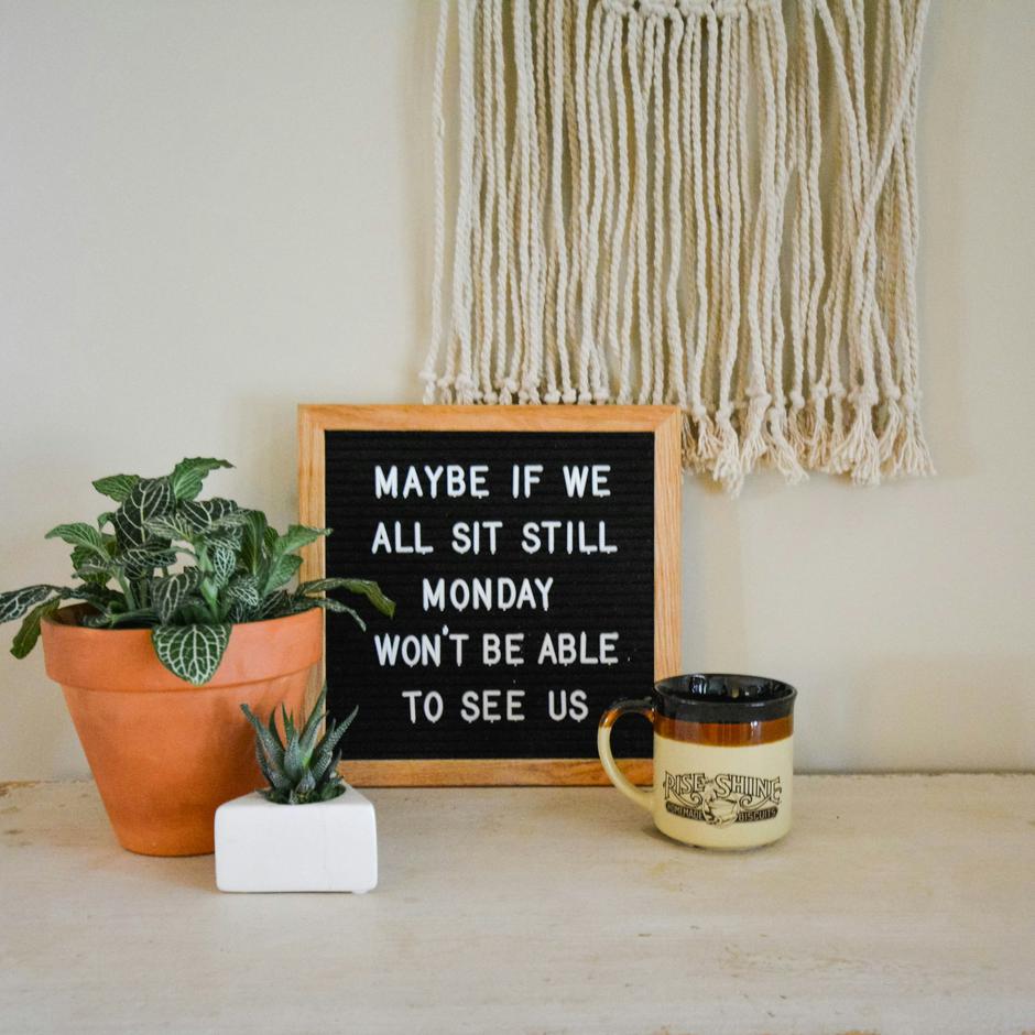  | Author: Amanda Selby/Unsplash