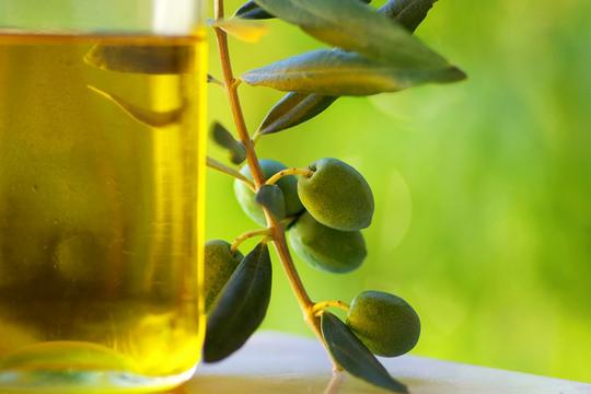 Olive_Oil