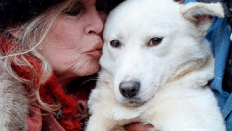 Preminula Brigitte Bardot: Filmska ikona i borac za prava &zcaron;ivotinja napustila nas je u 91. godini