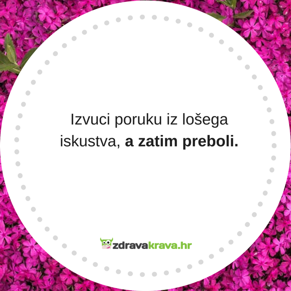  | Author: Zdrava Krava