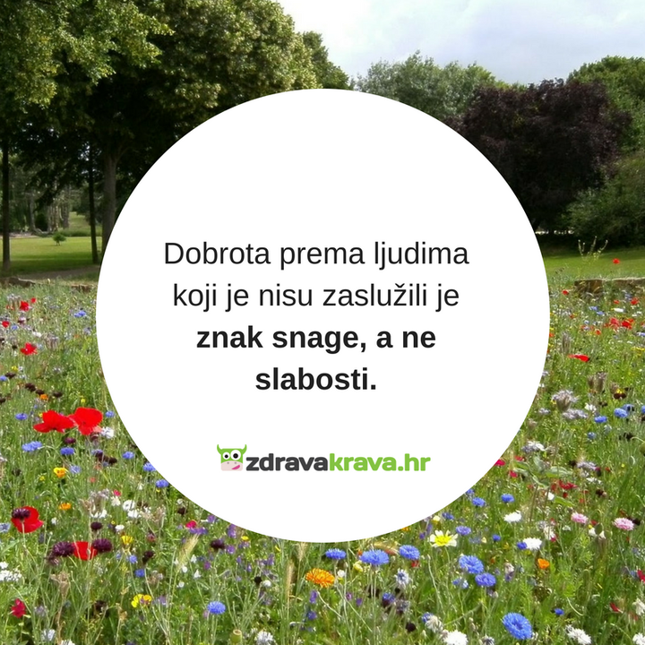 Motivacijska poruka