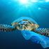 Oko 180 država potpisalo sporazum o smanjenju plastičnog otpada u oceanima