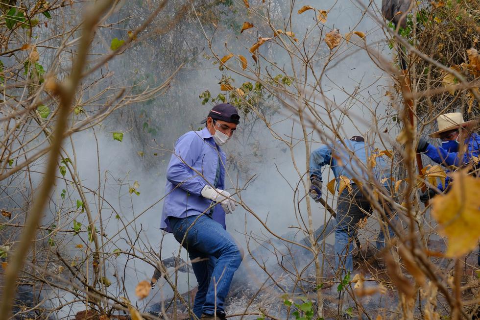 Za pozadinu požara u Amazoni odgovorni su političari i biznismeni
