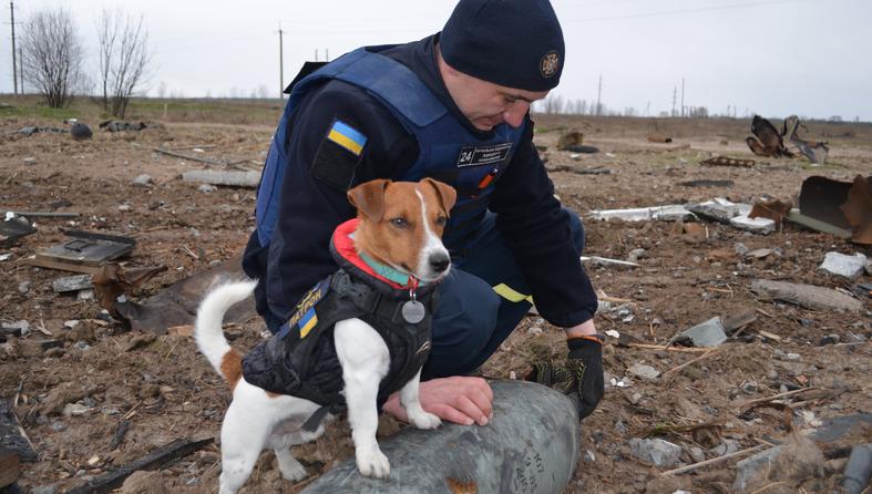pas Patron pomaže u detektiranju bomba u Ukrajini