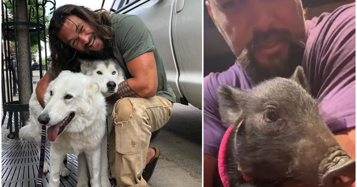 Jason Momoa je udomio preslatkog, ali neobičnog kućnog ljubimca Jason Momoa je udomio preslatkog, ali neobičnog kućnog ljubimca