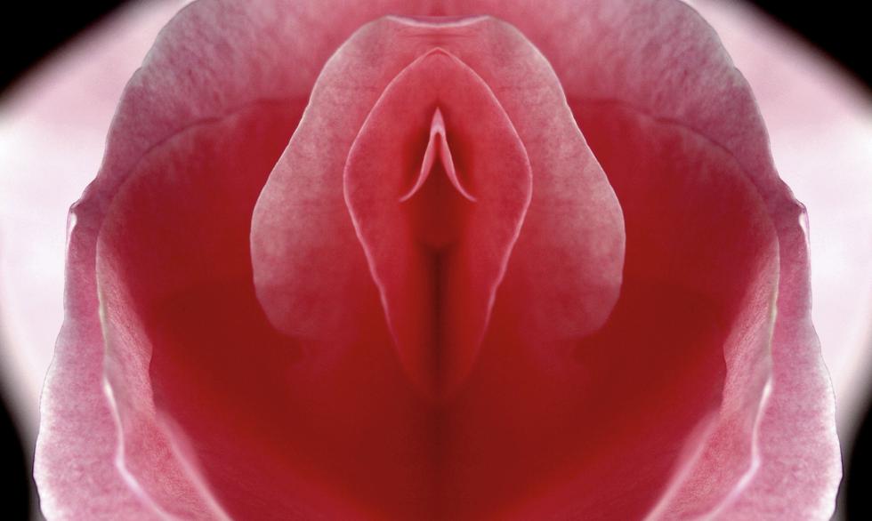 9 anatomskih tipova muških i ženskih spolnih organa i njihova kompatibilnost