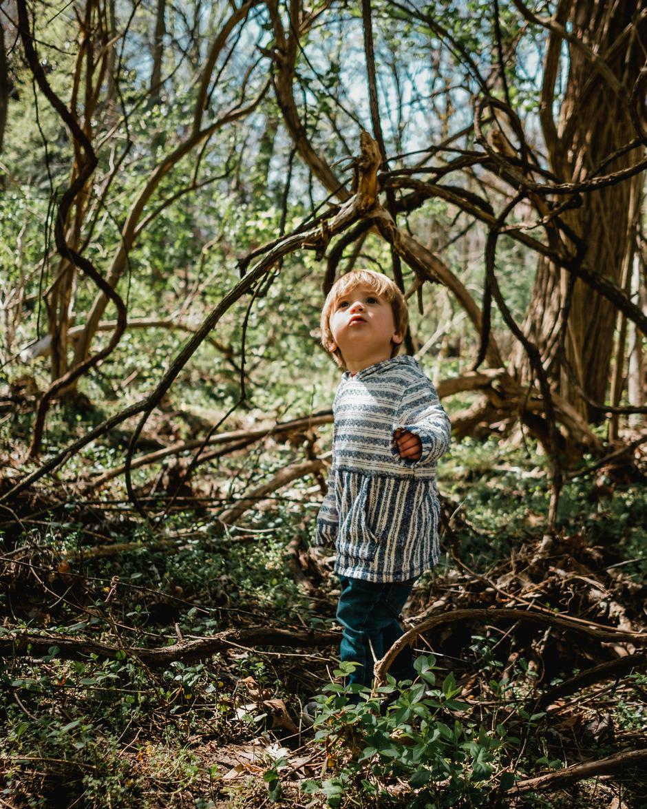  | Author: Unsplash+
