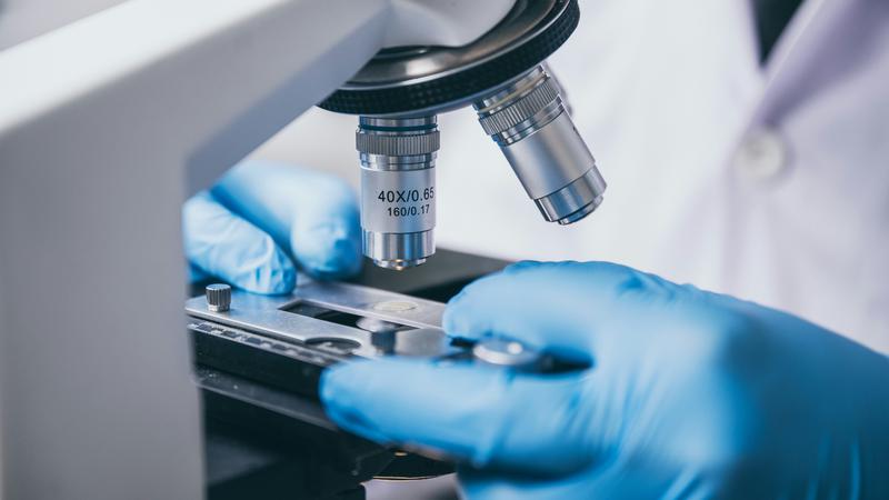 Znanstvenici otkrili 'virusni prekida&ccaron;' koji bi mogao pomo&cacute;i u borbi protiv otpornosti na antibiotike