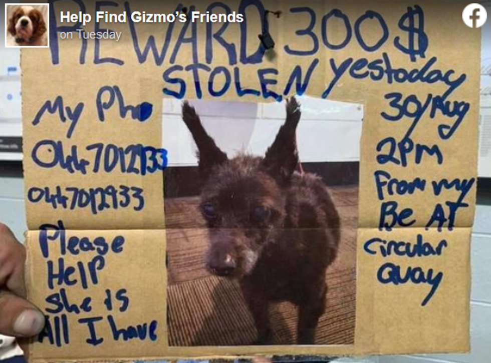 Beskućniku ukrali psa: Nudi 1400 kuna nagrade onome tko mu je vrati