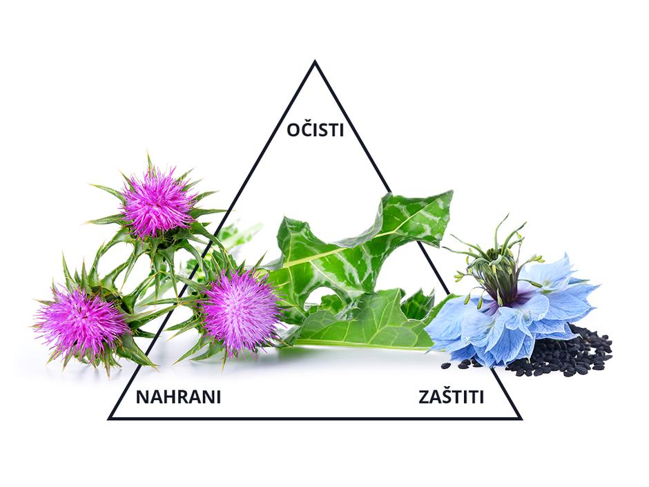  | Author: Matičnjak