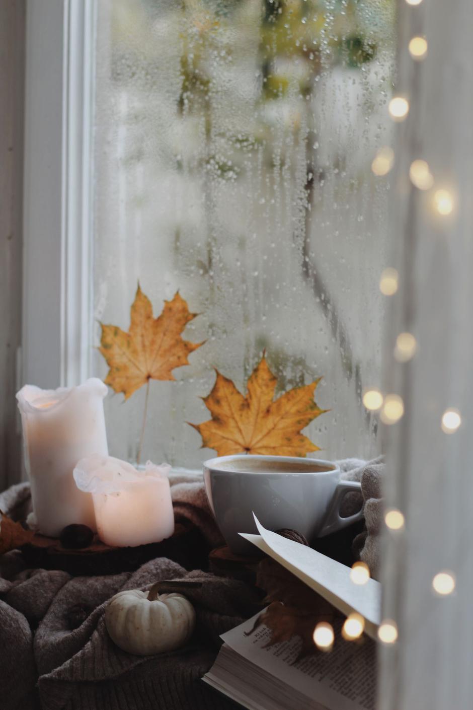  | Author: Pexels