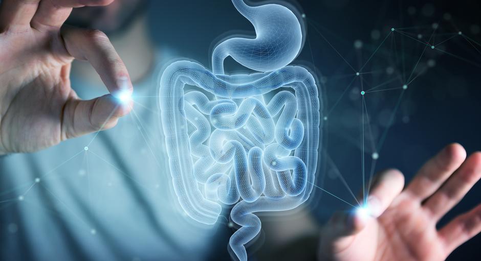 Bakterije u crijevima | Author: Guliver/Shutterstock
