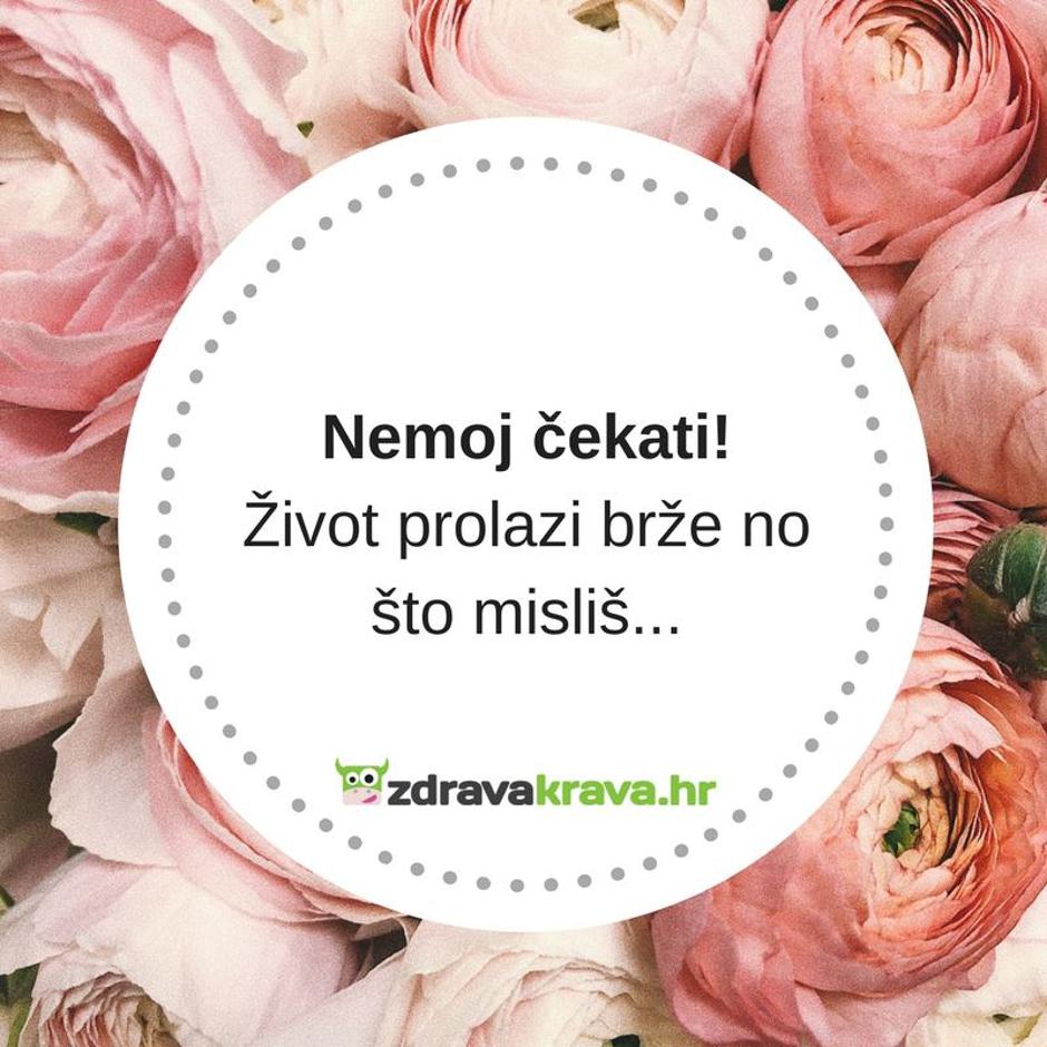  | Author: Zdrava Krava