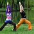 Zen yoga odlična prevencija alergije