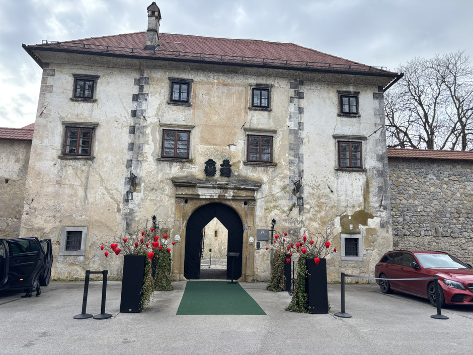  | Author: Nikola Radović